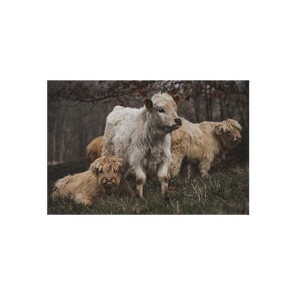 Highland Cattle Outdoor Rug – Rustic Farmhouse Patio Mat
