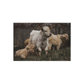 Highland Cattle Outdoor Rug – Rustic Farmhouse Patio Mat