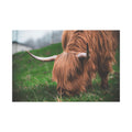 Highland Cow Canvas Wall Art Wrap – 1.6" Thick Rustic Farmhouse Decor